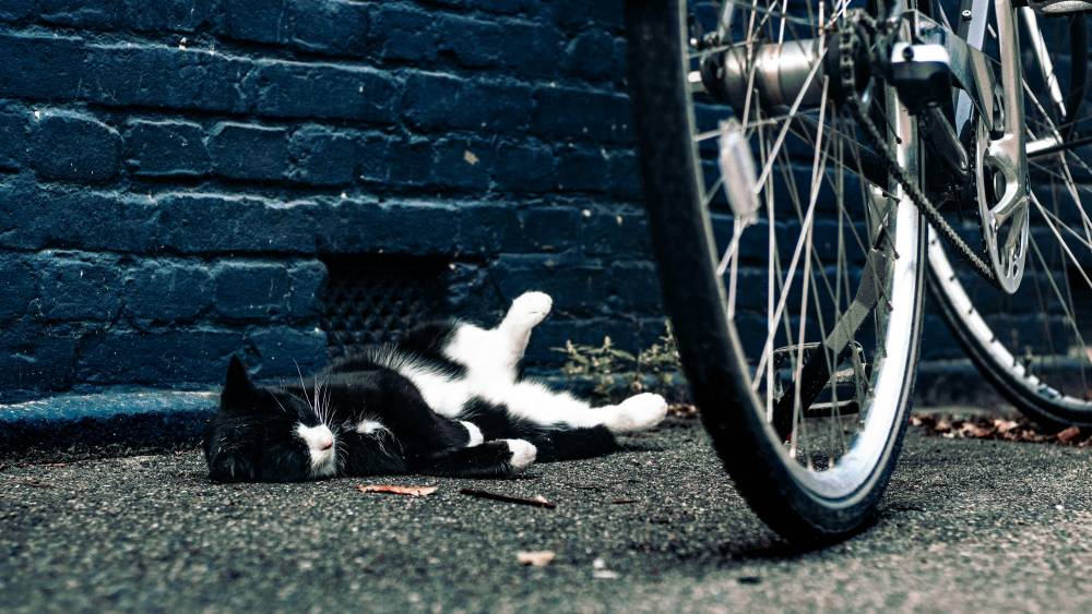 Inertia image. © Pexels